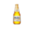 Modelo Especial