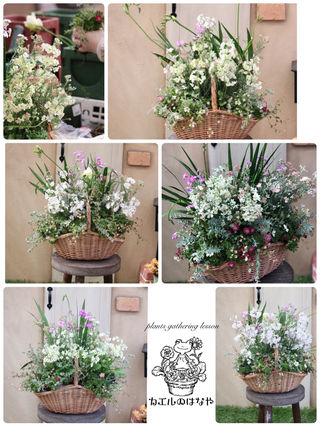 Kaeru No Hanayaのブログ プランツギャザリング教室 ハンギングバスケット教室 神奈川県 3 23 ページ