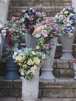 18097217839884315.jpg