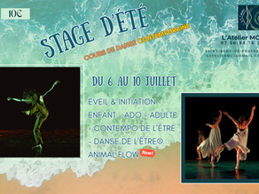 Stages d'été 2026