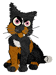 m2.gif