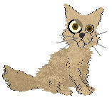 bekkii.gif
