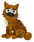 whiskers.gif