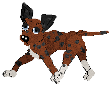 boxer.gif