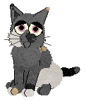 cookie.gif