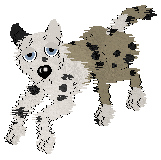 yeti.gif