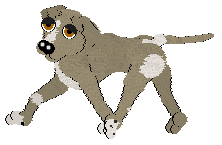 zy.gif