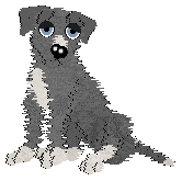 nili.gif