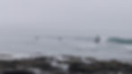 Surfer's Paradise