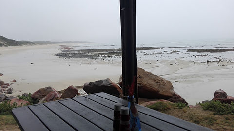 IMG_20201117_102412.jpg