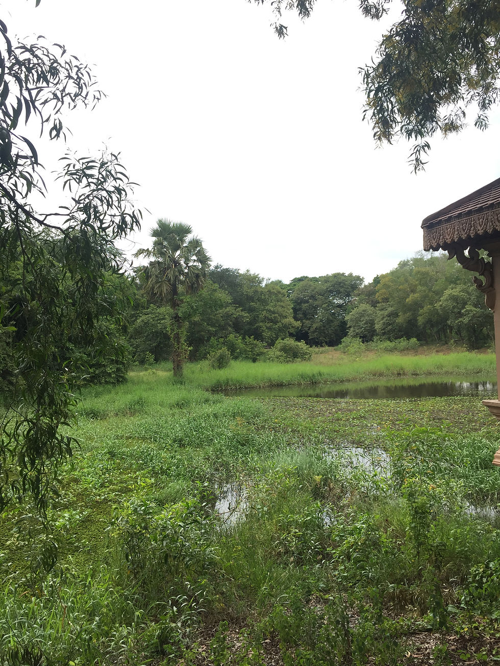 Halfway through orientation in Cambodia!
