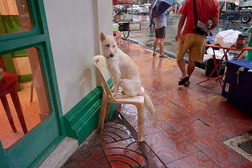 DSCF6141.jpg