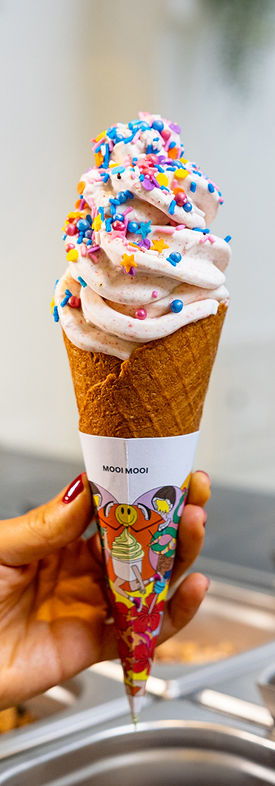 Foto sorvete sprinkles.jpg