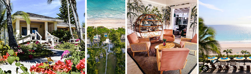 Untitled design (8)_edited.jpg