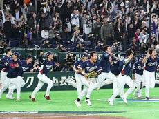 2026 WBC 일정, 개최지, 대진표 총정리: 한국 대표팀의 부활은?