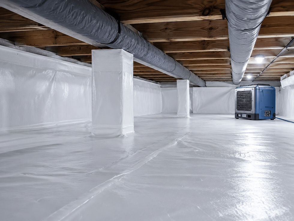 crawlspace encapsulation company photo of encapsulated crawlspace