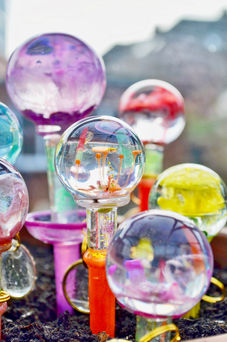 A group of noobli plant markers in the sun