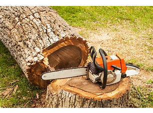 Untitled design (3).png