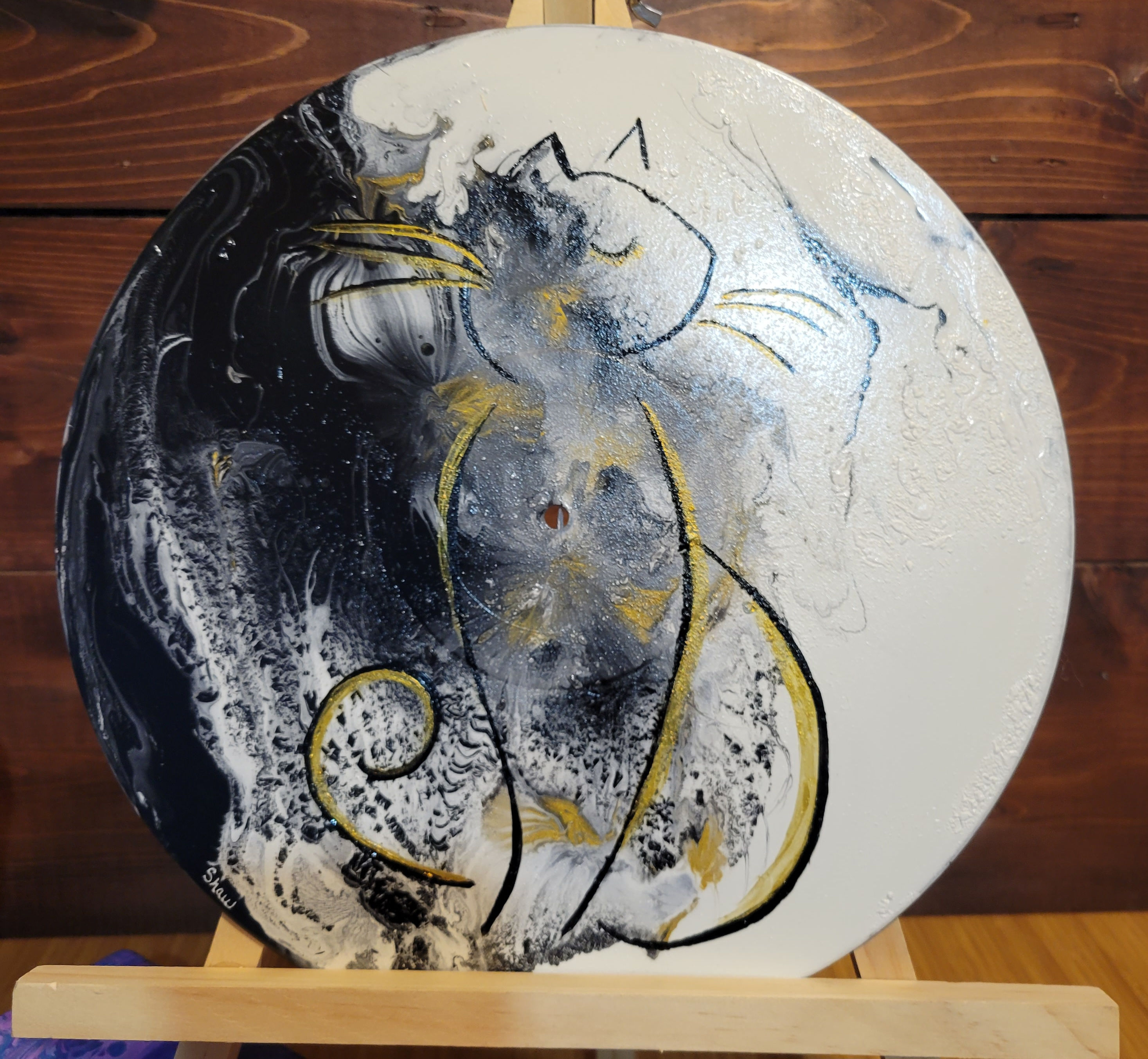 Abstract cat on vinyl record