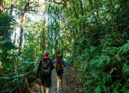 Monteverde Cloud Forest - Tram, Zipline & Waterfalls Full Day Tour