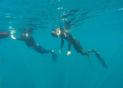 Discover Freediving