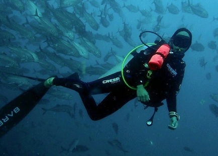 Scuba Diving in the Catalina Islands
