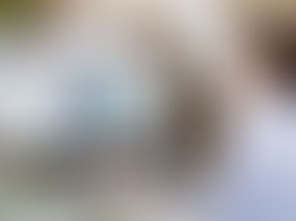 Built to Suit (BTS) é a nova tendência para investidores no Brasil