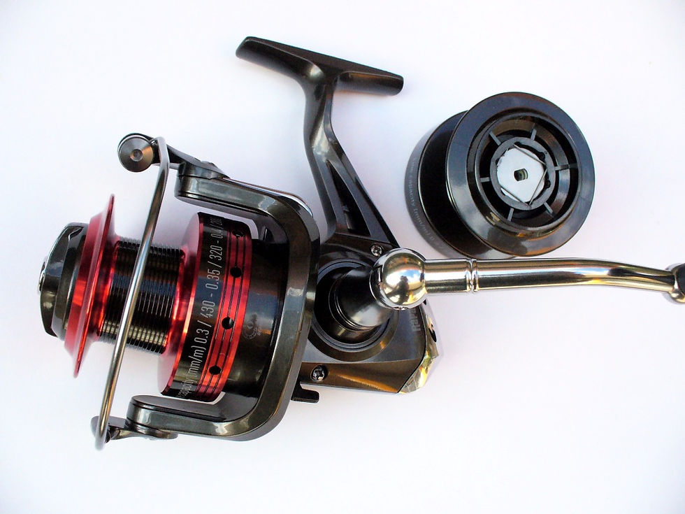 Carrete Spinning RAPALA EKLIPS SP 5000