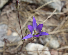 IMG_4065.jpeg