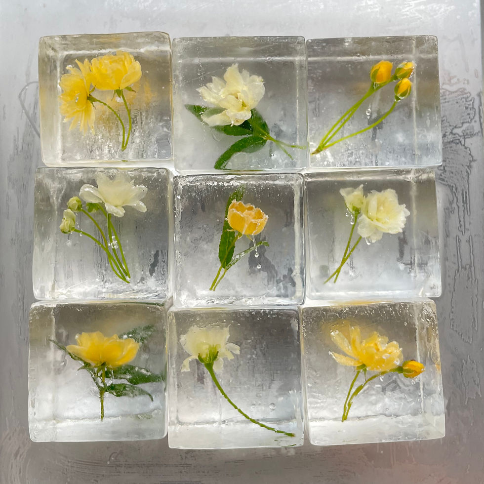 Thumbnail: Lady Banks Rose Cubes