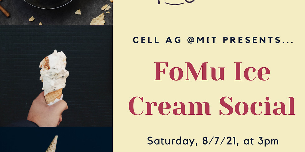 FoMu Icecream Social!