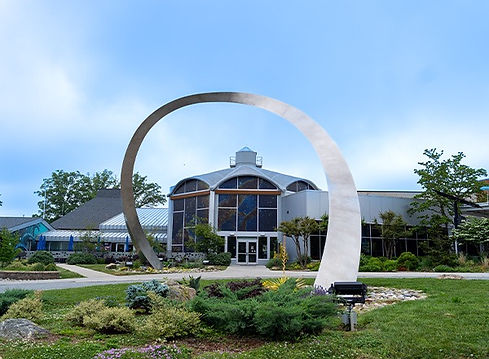 Image 2.jpg