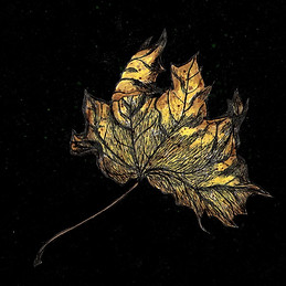 lonely_leaf_by_obviouslycumbersome-d9hj5