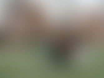 College students reviewing their degree classes