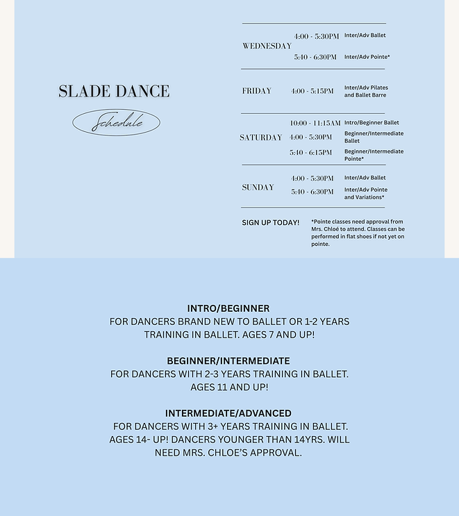 Black Lilac Modern Elegant Pilates Studio Schedule Instagram Reel (Website) (1).png