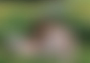 How to form healthy friendships – and avoid loneliness