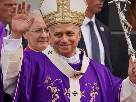 Pope Leo XIV Hails ‘Communion Between Christians and Muslims’ During African Visit