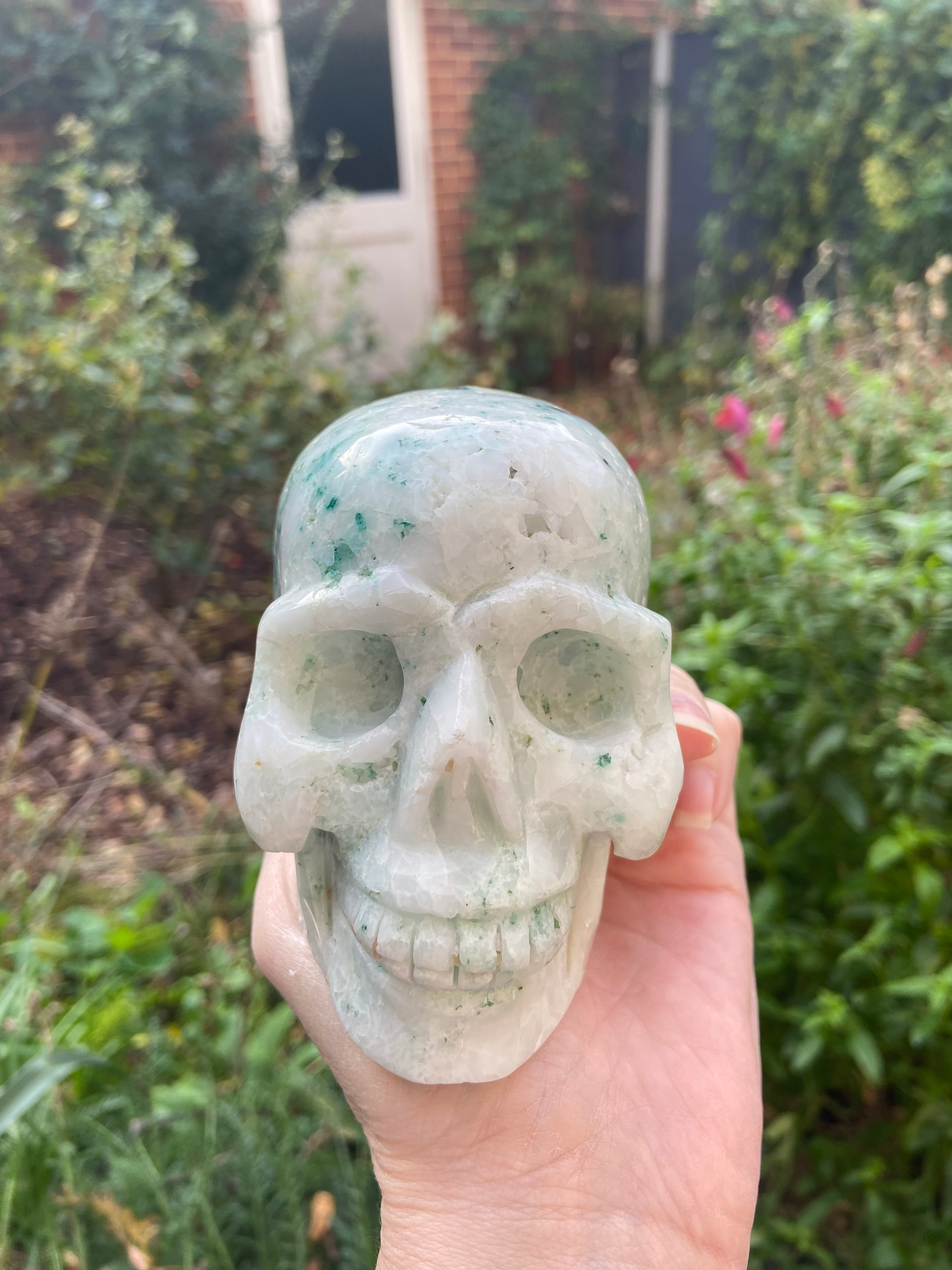 Phoenix Stone Gaia Skull for negativity release - Advanced