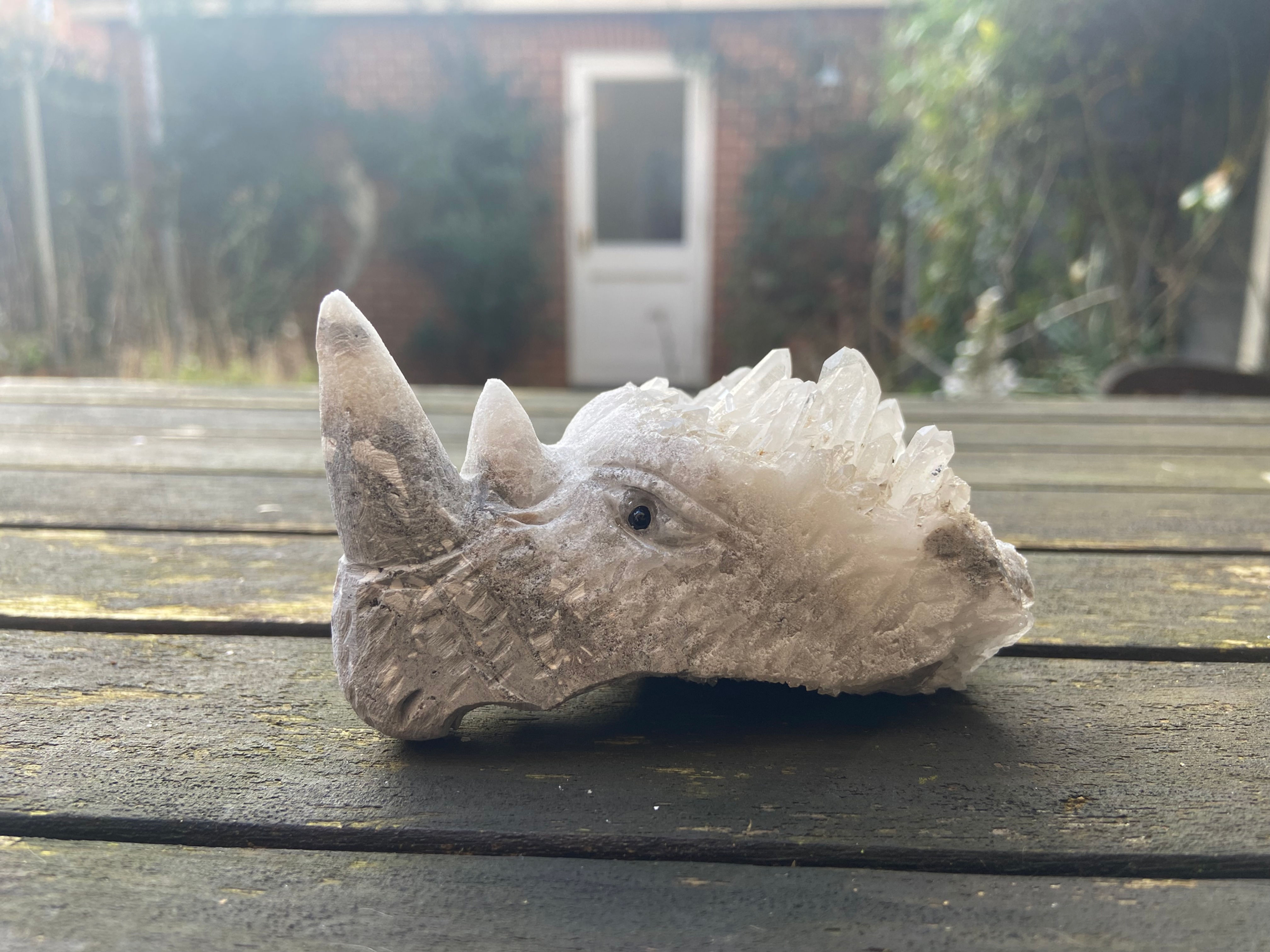 Clear Quartz Specimen Dragon Skull