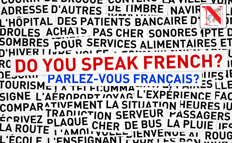 French language pathway for Canadian PR – collage of French words and phrases in black on white, with bold bilingual text in the center reading ‘DO YOU SPEAK FRENCH?’ in red and ‘PARLEZ‑VOUS FRANÇAIS?’ in blue, plus NishasNet logo in the corner.