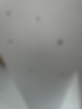 IMG_6719.jpeg