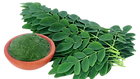 160118174632_moringa_640x360_thinkstock_