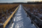 Boardwalk