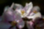 Centre spot bright_Low Res