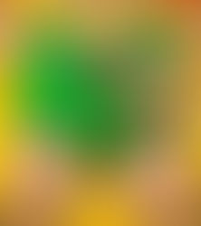 1960’s “Robin” Burt Ward Receives 
Hollywood Walk of Fame