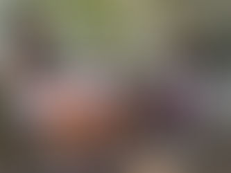 Three Sisters Give Birth on the Same Day At the Same Hospital