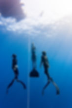 Freediving competition photo of Julia Tobler