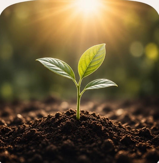 Faith & Spiritual Growth
Growing deeper in faith through everyday life.