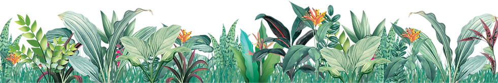 ELA-plant-bottom.png