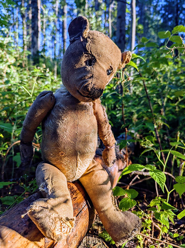 Ourson en Peluche, Fabricant inconnu, 1910's